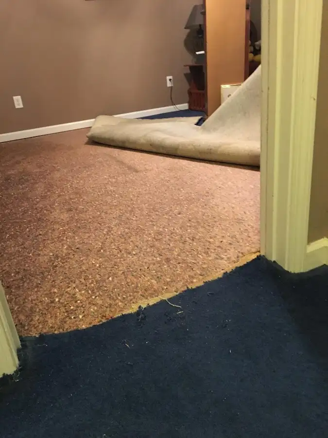 Carpet pad removal revealing water damage during Drying & Dehumidification in Milliken