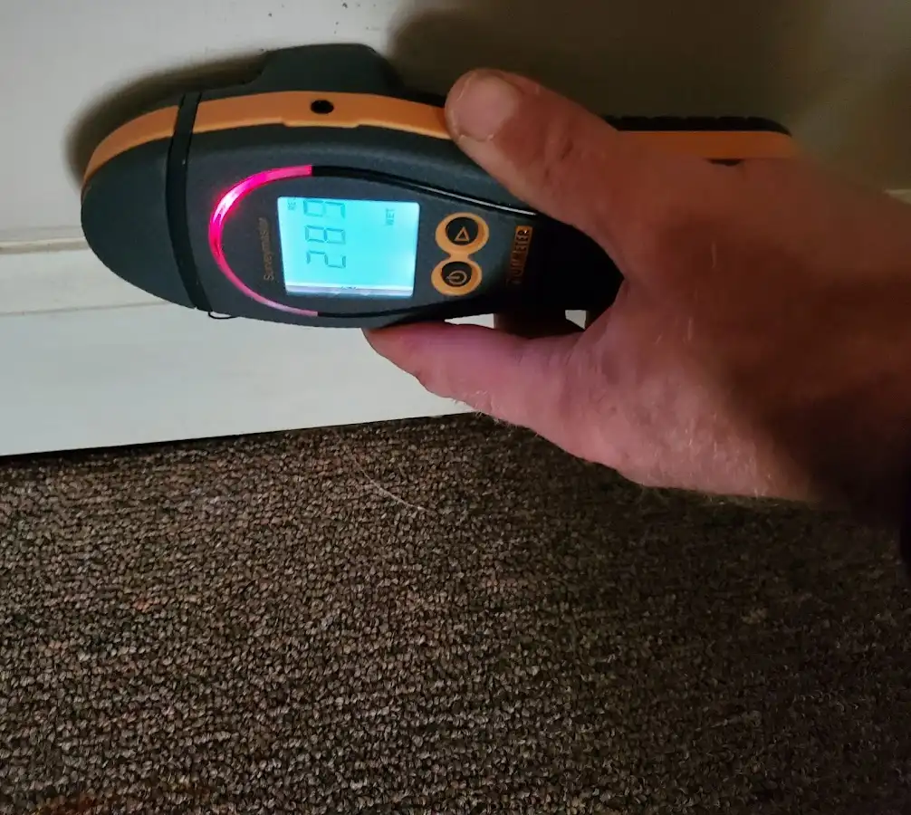 Moisture detection at baseboard during Sewage Cleanup & Sanitation in Milliken